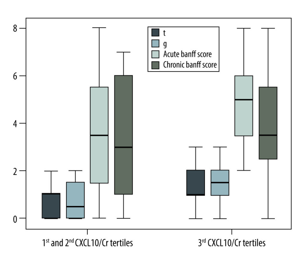 Differences among ‘t’ and ‘g’ scores, acute Banff score and chronic Banff scores comparing the third tertile versus first and second tertiles of urinary CXCL10 corrected by urine creatinine (CXCL10/Cr) in kidney transplant recipients with positive donor-specific antibodies.