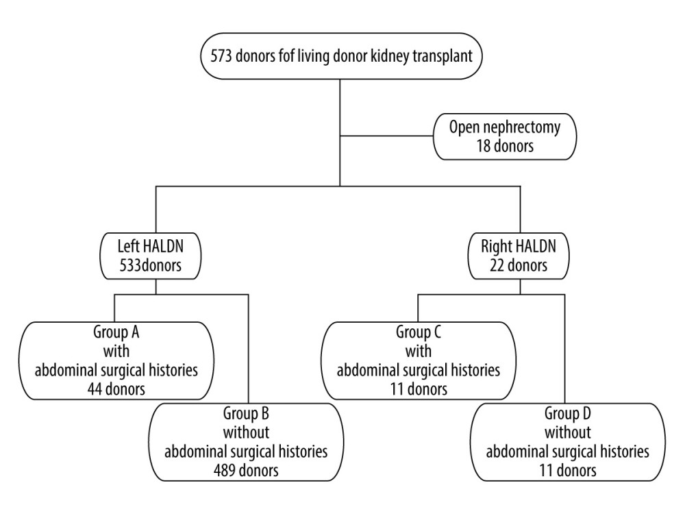 Patient flow chart. HALDN – hand-assisted laparoscopic donor nephrectomy.
