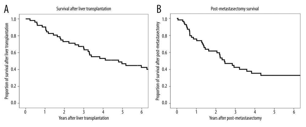 (A) Kaplan-Meier analysis of overall patient survival after liver transplantation. (B) Kaplan-Meier analysis of overall patient survival after metastasectomy.