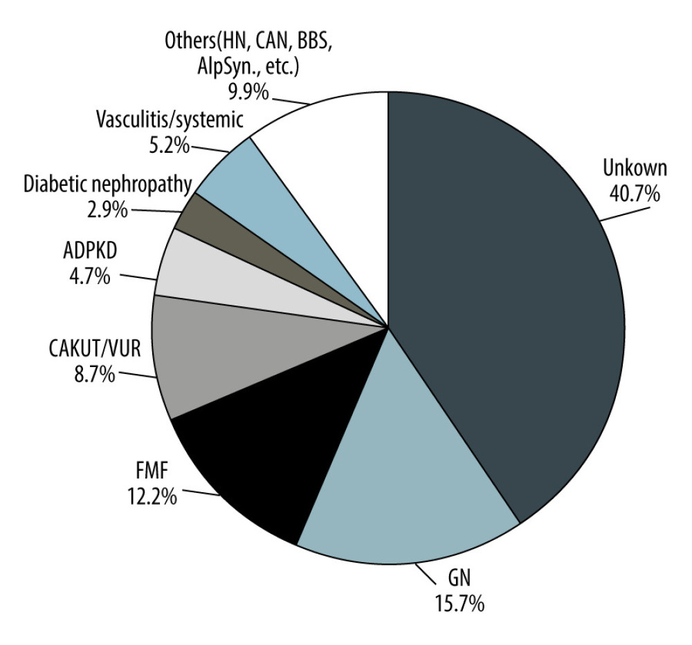 Etiology of end-stage renal disease among kidney transplant patients in Armenia. GN – glomerulonephritis; FMF – familial mediterranean fever; CAKUT/VUR – congenital anomalies of the kidney and urinary tract/vesicoureteral reflux; ADPKD – autosomal dominant polycystic kidney disease; Systemic – dsystemic disease; HN – hypertensive nephropathy; CAN – chronic allograft nephropathy; BBS – Bardet-Biedl syndrome; AlpSynd – Alport syndrome.