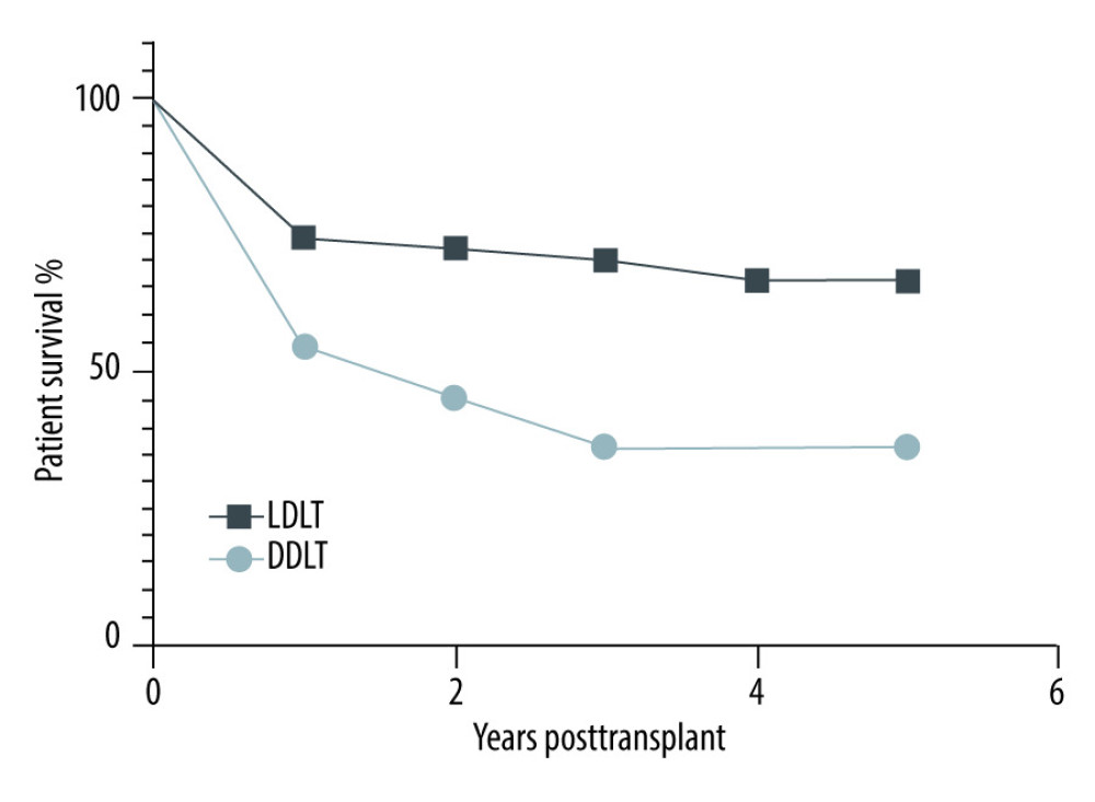 Overall patient survival rate after living/deceased liver transplantation.
