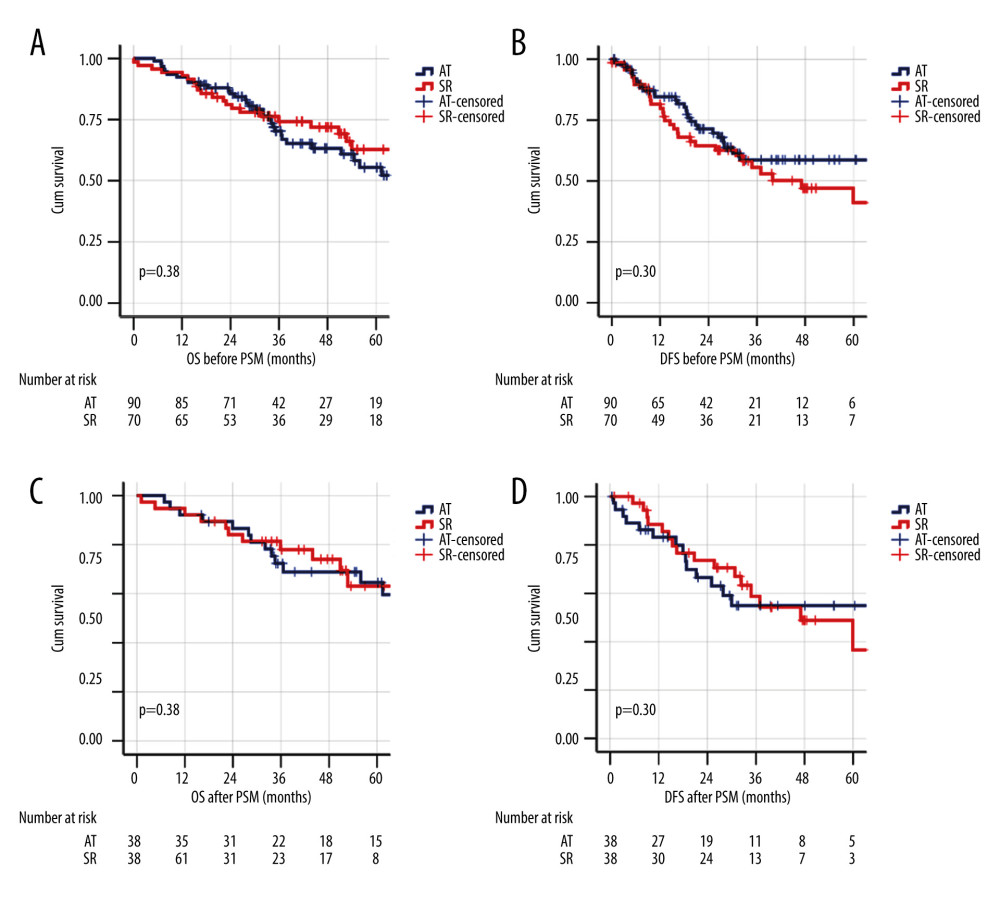 Kaplan-Meier survival analysis for overall survival (OS) and disease-free survival (DFS) in ablative therapies and surgical resection treatment groups before and after propensity score matching. (A) OS before matching. (B) DFS before matching. (C) OS after matching. (D) DFS after matching.