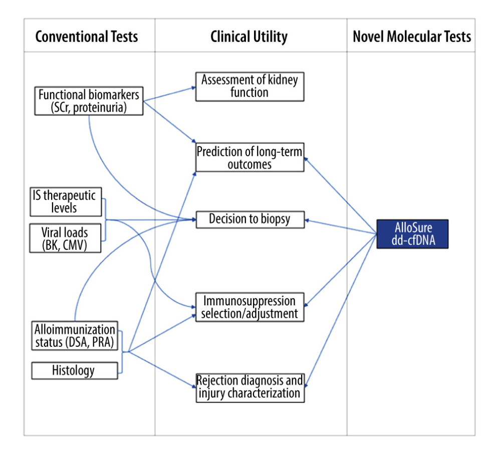 Graphic depicting the potential added value of donor-derived cell-free DNA (dd-cfDNA) surveillance for augmenting clinical decision making in posttransplant management. SCr – serum creatinine; DSA – donor-specific antibodies; PRA – panel reactive antibodies; IS – immunosuppressive therapy.