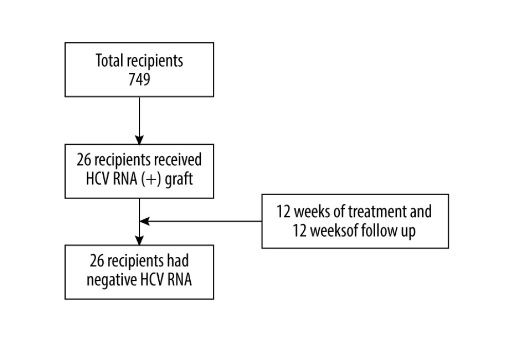 Flow chart. A total of 837 people received kidney transplants during this period, of which 26 received HCV RNA(+) kidney transplants, and all recipients completed the follow-up. At the end of follow-up, HCV RNA was negative.