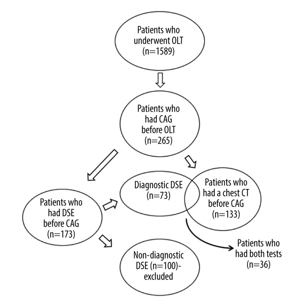 Flow diagram of study population selection. A total of 265 patients underwent coronary angiography prior to orthotopic liver transplantation. Of this sample, 173 patients had dobutamine stress echocardiography (DSE). Only patients with a diagnostic DSE were used for data analysis (n=73). A total of 133 patients had a chest computed tomography scan suitable for calcium scoring. A total of 36 patients had a diagnostic DSE and could be used for the head-to-head comparison of the 2 tests. Figure was created using Microsoft Word version 2010.