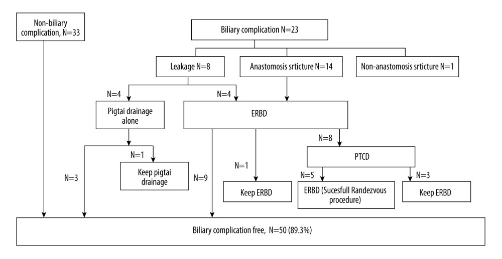 Flow chart of management of biliary complications. ERBD – endoscopic retrograde biliary drainage; PTCD – percutaneous transhepatic cholangiography and drainage.
