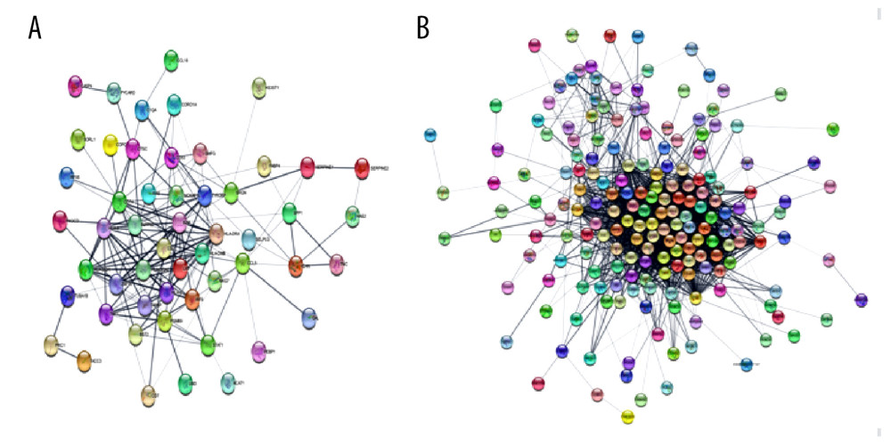 PPI Networks of significant DEGs in endomyocardial biopsy and peripheral blood sample constructed with Cytoscape 3.8.2 software(A) Significant DEGs PPI networks of myocardium. (B) Significant DEGs PPI networks of peripheral blood. Nodes represent genes. Edges represent the interaction among proteins. the structure of proteins can be checked in nodes. Colors of edges represent the interaction between the proteins proved by different kinds of evidence. PPI – protein–protein interaction.