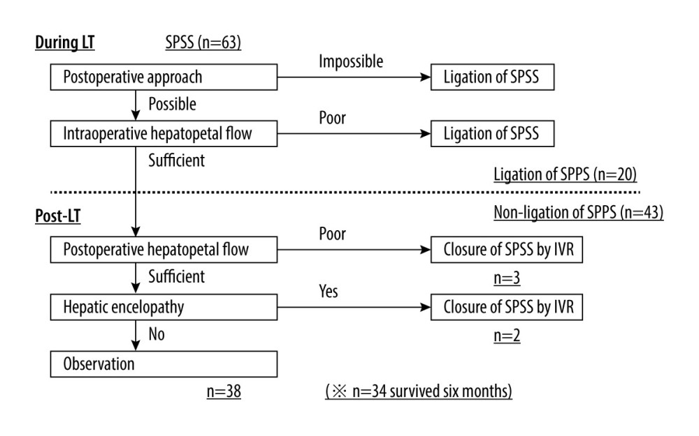Criteria for spontaneous portosystemic shunts (SPSS) ligation in our departmentFirst, we considered whether postoperative interventional radiology (IVR) for SPSS was possible. If postoperative IVR was impossible, SPSS were ligated during the operation. Next, we observed the hepatopetal flow during liver transplantation (LT). If the hepatopetal flow was poor, we ligated the SPSS. After LT, if the hepatopetal flow was poor, IVR was performed to occlude the SPSS. In case of hepatic encephalopathy, IVR was also performed, even if the hepatopetal flow was sufficient. SPSS was defined as venous communication between the portal and venous systems with a largest diameter of ≥10 mm.