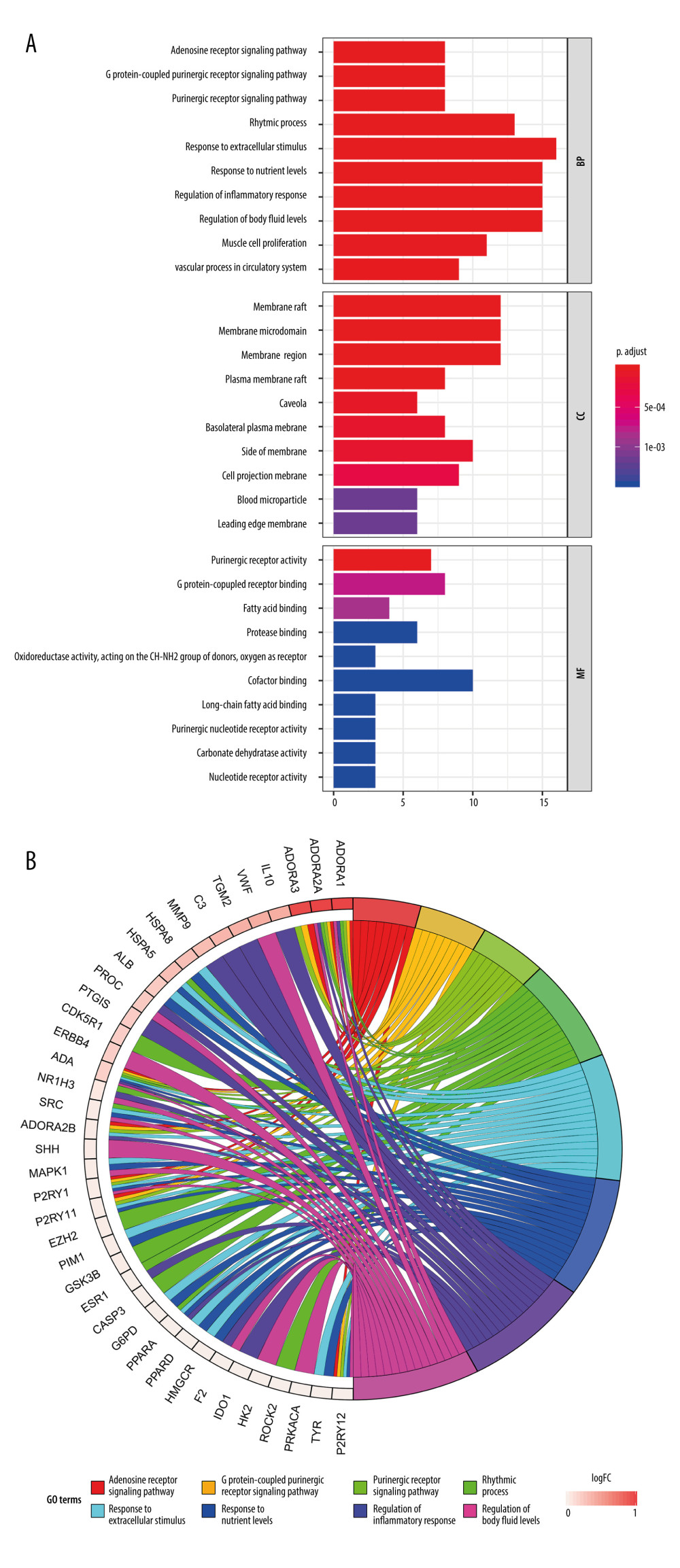 Gene Ontology (GO) analysis and significantly enriched GO terms of target genes related to Cordyceps cicadae in renal IR. Figures created by R 3.6.0 with Rstudio, R: The R Project for Statistical Computing (r-project.org). (A) The top 30 GO terms in biological processes (BP), molecular function (MF) and cell component (CC). The x-axis represents significant enrichment counts of these terms, and the y-axis represents the categories of GO terms of the target genes (P value ≤0.01). (B) The first 8 significantly enriched GO terms in a circle-plot style. FC - Fold Change.