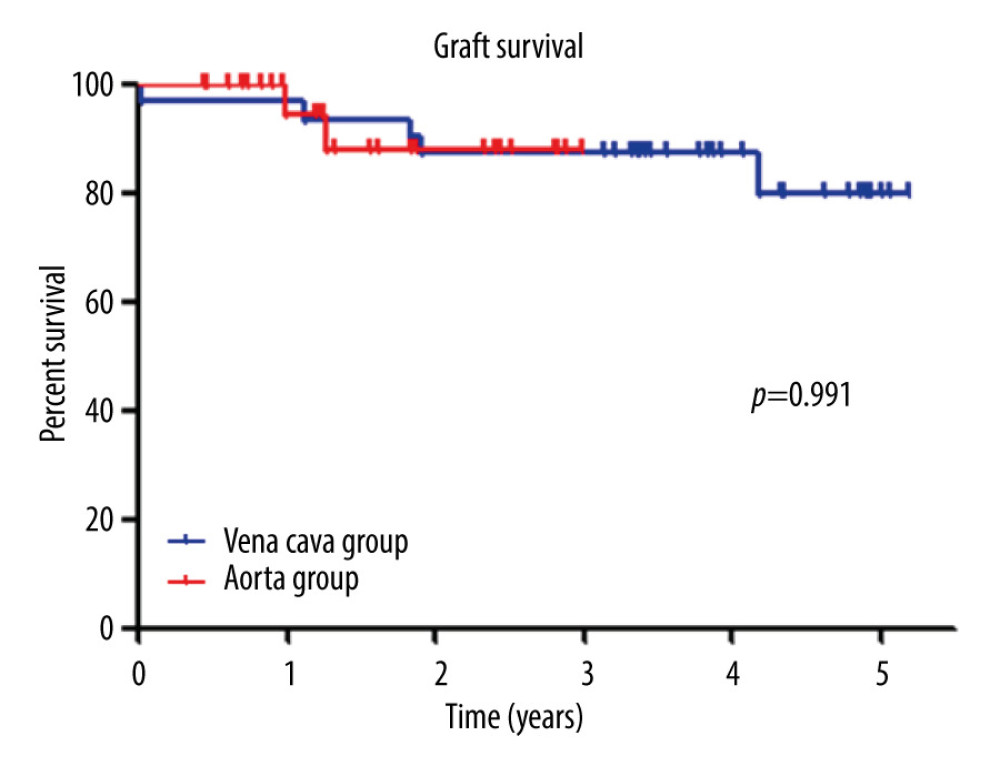 Graft survival. There was no difference in graft survival between the 2 groups (P=0.815). Graft survival at 1 year was 96.8% in the vena cava group and 92.6% in the aorta group.