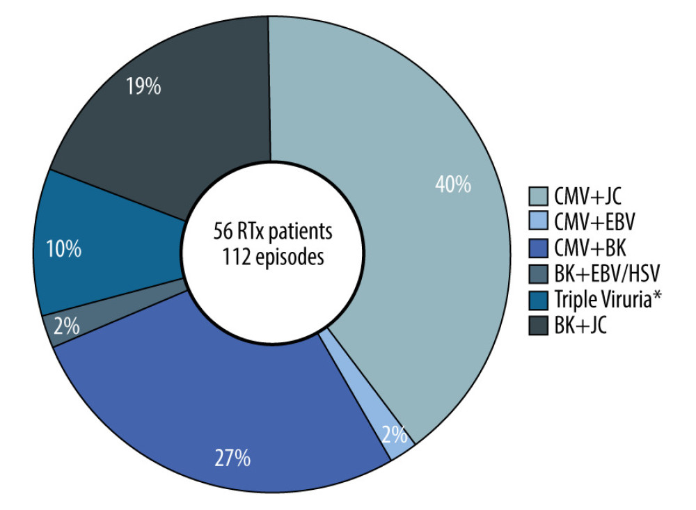 Association of frequency of episodes with the type of viruria co-infection among renal transplantation recipients* Triple viruria were CMV and BK co-infection with either JCV or EBV. The figure is created using Microsoft® Word for Microsoft Office 2019 MSO (Version 2208 Build 16.0.15601.20072).