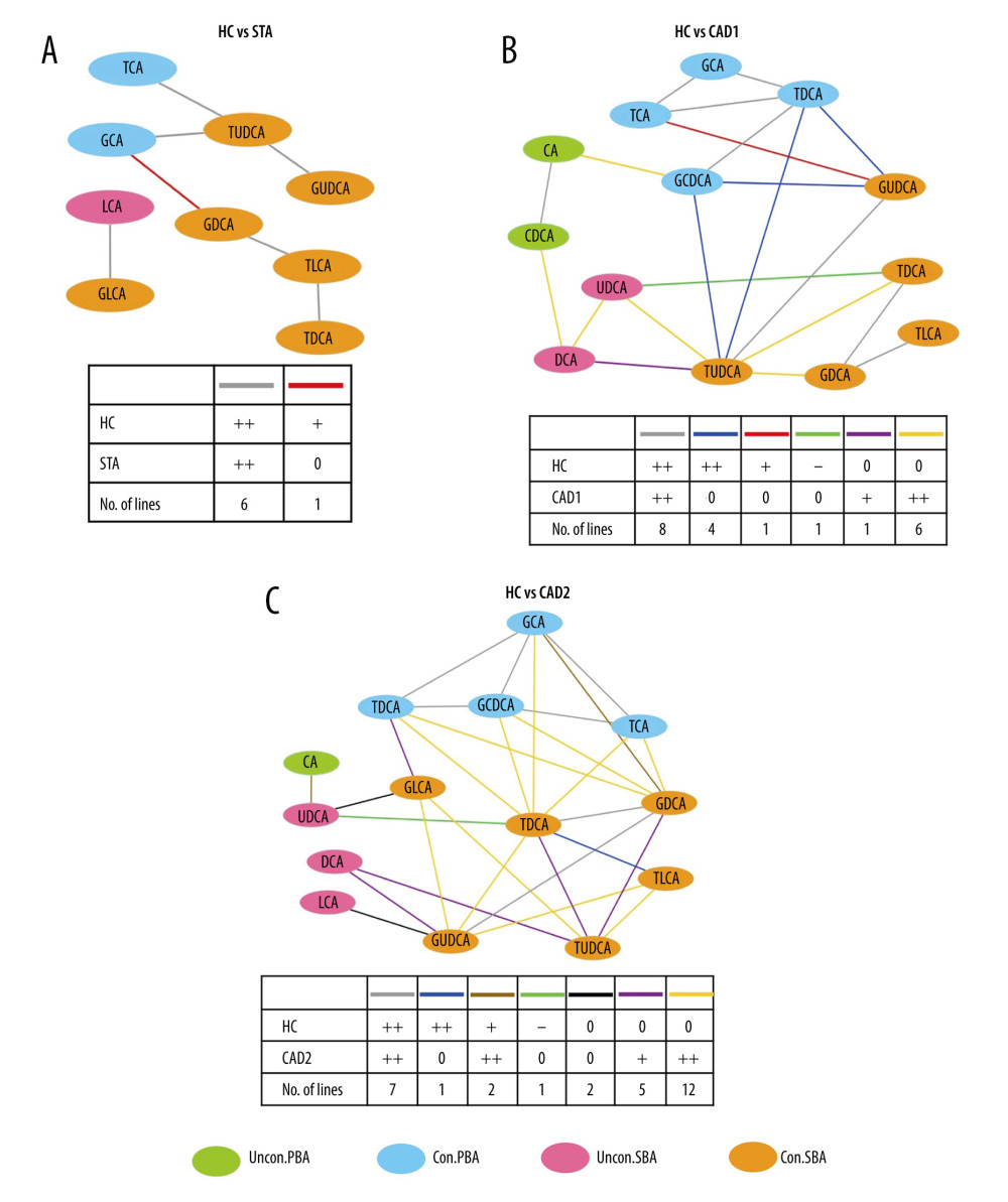 Differential correlation analyses of various BAs between HC and KTR groups. Network analysis illustrates the differential correlation of BAs between study groups (A–C). Only BA pairs with significant differential correlations (P<0.05) were included. The colored lines connecting BAs indicates the direction and strength of the correlation groups, and the number of lines that follows indicates the number of BA pairs in the global networks exhibiting this pattern of change. For instance, the red line +/0 1 in Figure 3A indicates that the correlation between GCA and GDCA was positive (+) in the HC group, but the correlation disappeared (0) in the STA group. Only 1 BA pair connected by red line in the network displayed this pattern of change (+/0). +P<0.05, ++P<0.01, are positively correlated; −P<0.05, is negatively correlated; 0, represents unrelated. Differential correlation coefficients between BA pairs were calculated with the “DGCA” package and the visualization of correlation networks were achieved using Cytoscape software (Version 3.7.2).