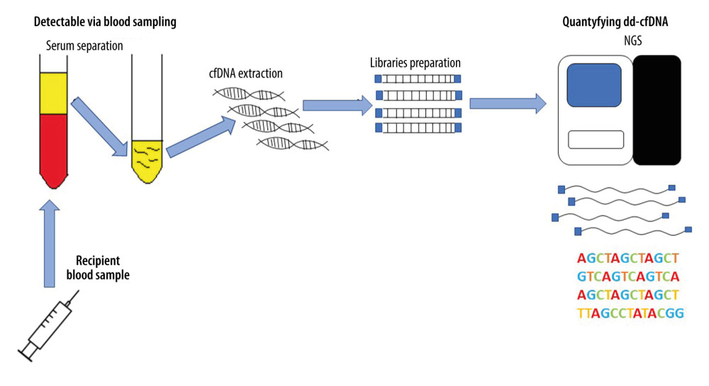 Identification and quantification of cell-free DNA. cfDNA – cell-free DNA (deoxyribonucleic acid); NGS – next-generation sequencing.