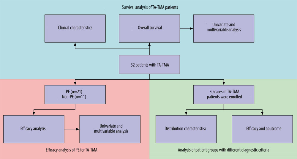 Flow chart of the study.