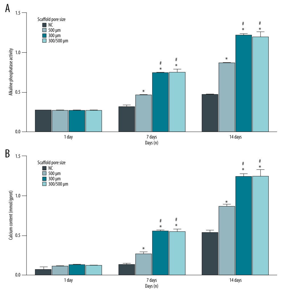 (A, B) Alkaline phosphatase (ALP) activity of BMSCs-C cells cultured on scaffolds with different pore sizes (300 μm, 500 μm, 300/500 μm) in vitro at 1 day, 7 days, and 28 days. * P<0.05 versus NC group. # P<0.05 versus 500 μm scaffold group. Data analysis was carried out using SPSS Statistics version 22.0 (IBM SPSS, Inc., Chicago, IL, USA).