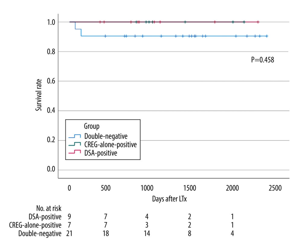 Graft survival in donor-specific anti-human leukocyte antigen antibody (DSA)-positive, cross-reactive epitope group antibody (CREG)-alone-positive, and double-negative liver transplant recipients (IBM, SPSS statistics, ver. 28.0.1.0). The 1-year graft survival rate is 100% in both DSA-positive and CREG-alone-positive cases, and 87.5% in double-negative cases (p=0.289). DSA, donor-specific anti-human leukocyte antigen antibody; CREG, cross-reactive epitope group; LTx, liver transplantation.