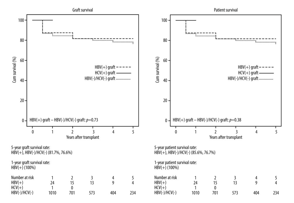 Kaplan-Meier graft and patient survival estimate according to the HBV/HCV(±) status.