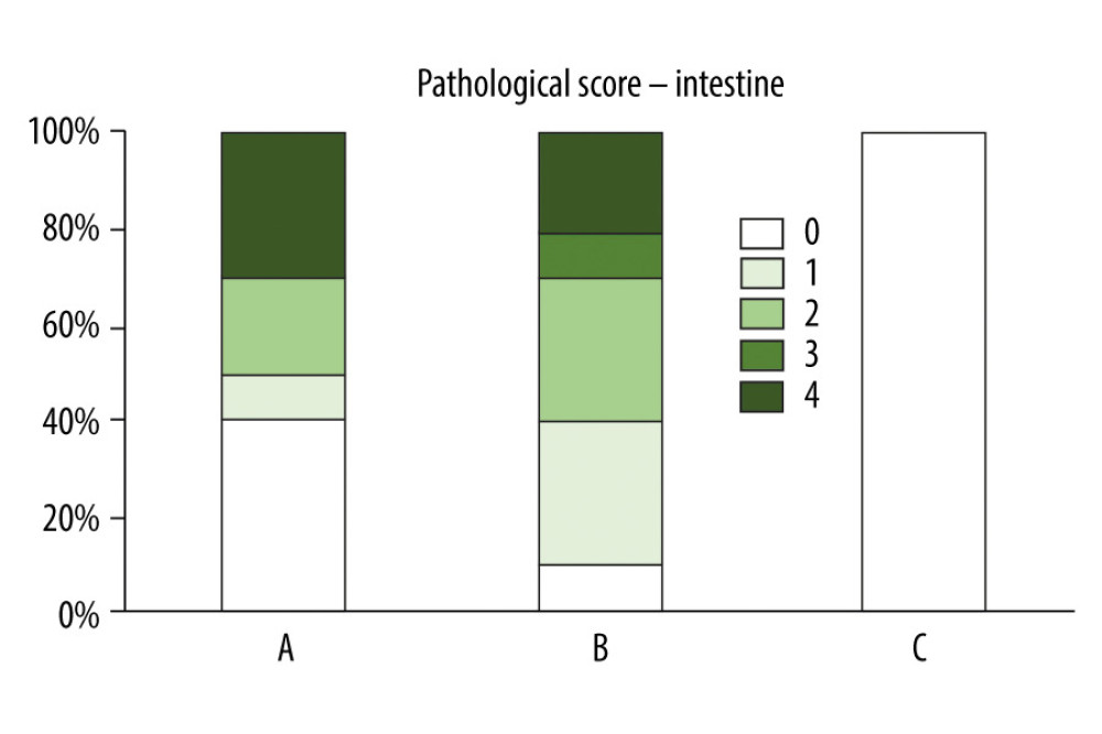 Apraglutide improves gastrointestinal pathological score following induction of aGvHD (TBI 7 Gy). Group A: TBI/transplanted mice treated with apraglutide; Group B: TBI/transplanted mice treated with vehicle; Group C: control mice treated with vehicle only and no transplantation. GvHD – graft-versus-host disease; TBI – total body radiation.