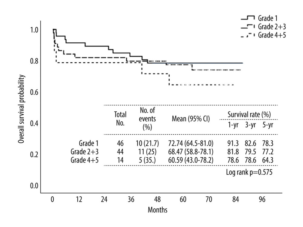 Kaplan-Meier curves displaying the estimated overall survival probability for different grades of echo bubble test results in hepatopulmonary syndrome (HPS). Patients in the HPS group with different echo bubbles test severity had no significant difference in overall survival; however, a declining trend was observed between the subgroups. IBM SPSS Statistics (version 27.0) was used for creation of the figure.