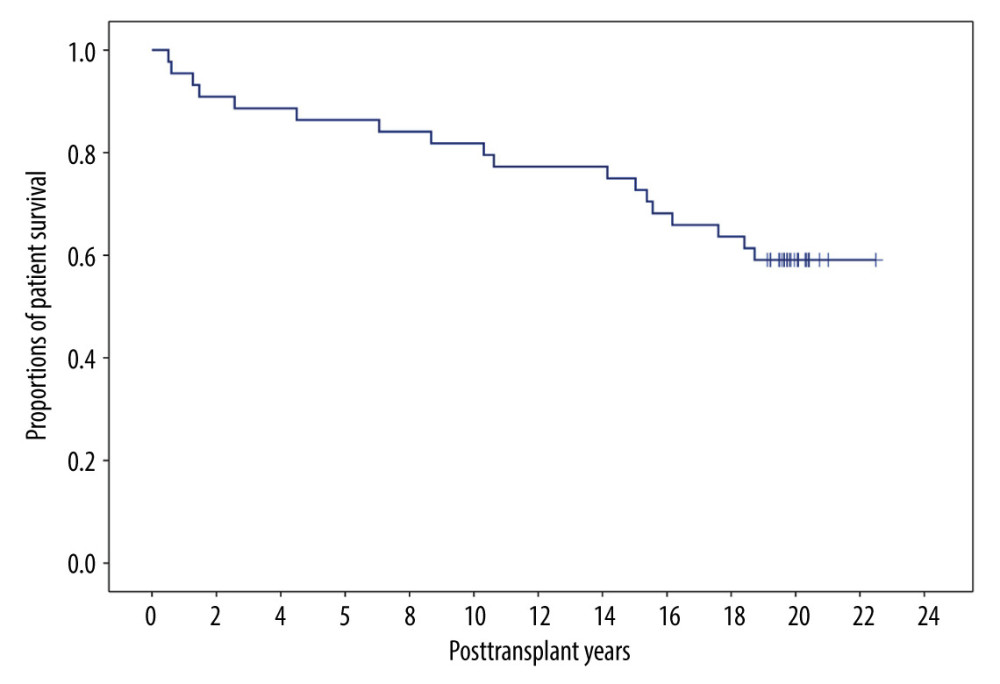 Overall patient survival curve.