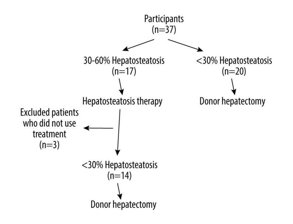 Patients and control group (Figure created using Microsoft Word 365, version 16.96).