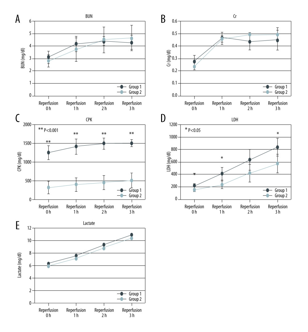 Laboratory test results. (A) BUN (mg/dl), (B) Cr (mg/dl), (C) CPK (IU/L), (D) LDH (mg/dl), and (E) lactate (mg/dl) levels (mean ± SD) in the perfusate solution before, and 1, 2, and 3 h after reperfusion.