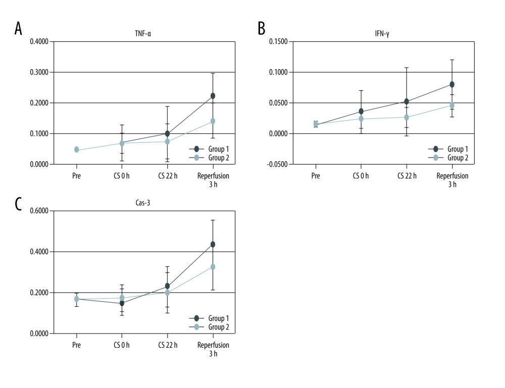 Polymerase chain reaction. (A) TNF-α, (B) IFN-γ, and (C) caspase-3 value after laparotomy, before and after preservation, and 3 h after reperfusion.