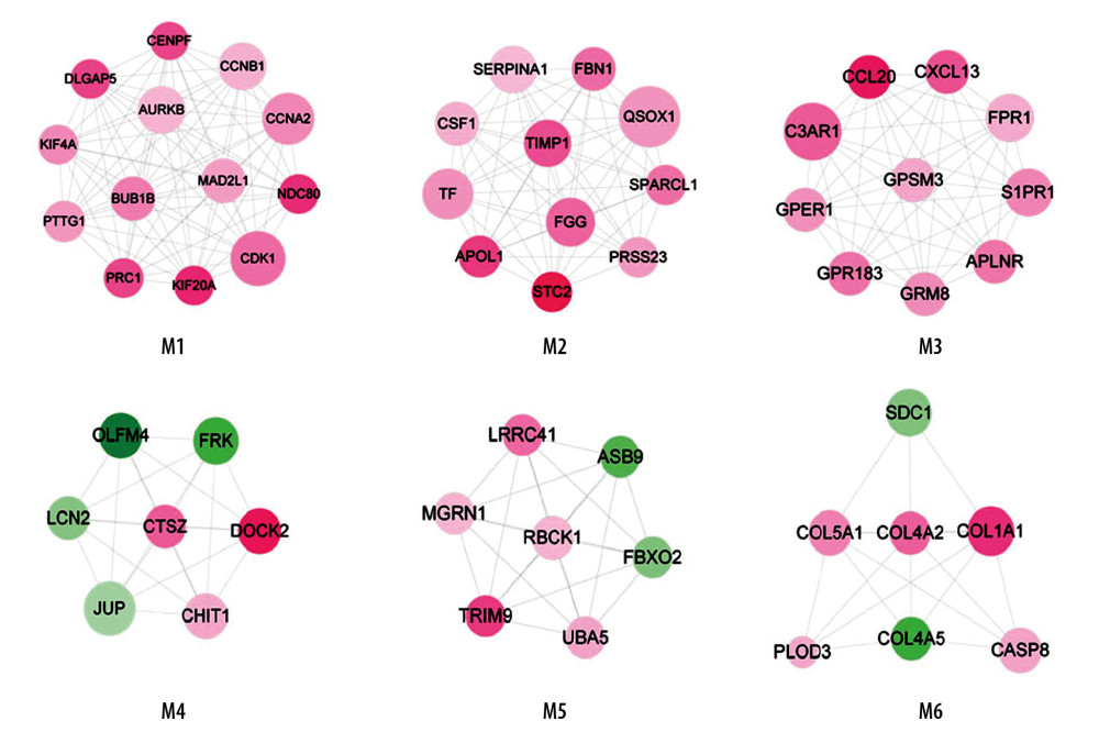 Modules in PPI network. The modules in PPI network were analyzed using Cytoscape plugin Molecular Complex Detection (Mcode). With cutoff degree ≥2, cutoff node score ≥0.2 and K-core ≥2, 6 modules were obtained. Green – downregulated genes; red – upregulated genes. The size of node indicates the node degree. PPI – protein–protein interaction.