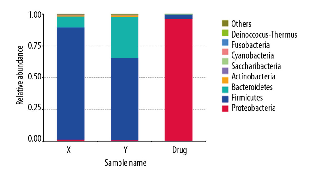 Human to rat fecal microbiota transplantation and the relative abundance of the top 10 species at the phylum level in the rat three groups. (X) Rats received fecal microbiota transplantation from patients with stage 5 chronic kidney disease (CKD). (Y) The normal control group. (Drug) Rats were given compound antibiotics and without fecal microbiota transplantation.