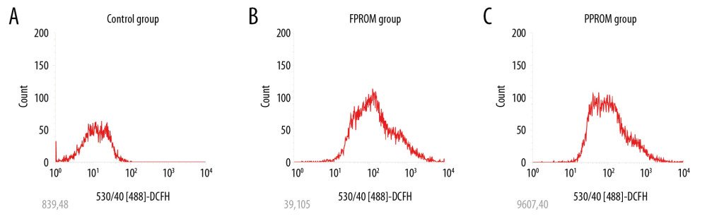 The ROS levels were detected and compared in the control group (A), FPROM group (B), and PPROM group (C) (P<0.01).