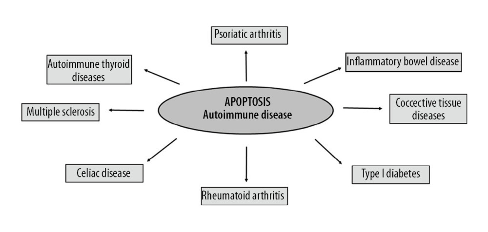 Autoimmune diseases based on apoptosis.