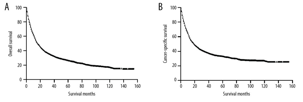 Kaplan-Meier curves of OS (A) and CSS (B) before PSM. OS – overall survival; CSS – cancer-specific survival; PSM – Propensity Score Matching.