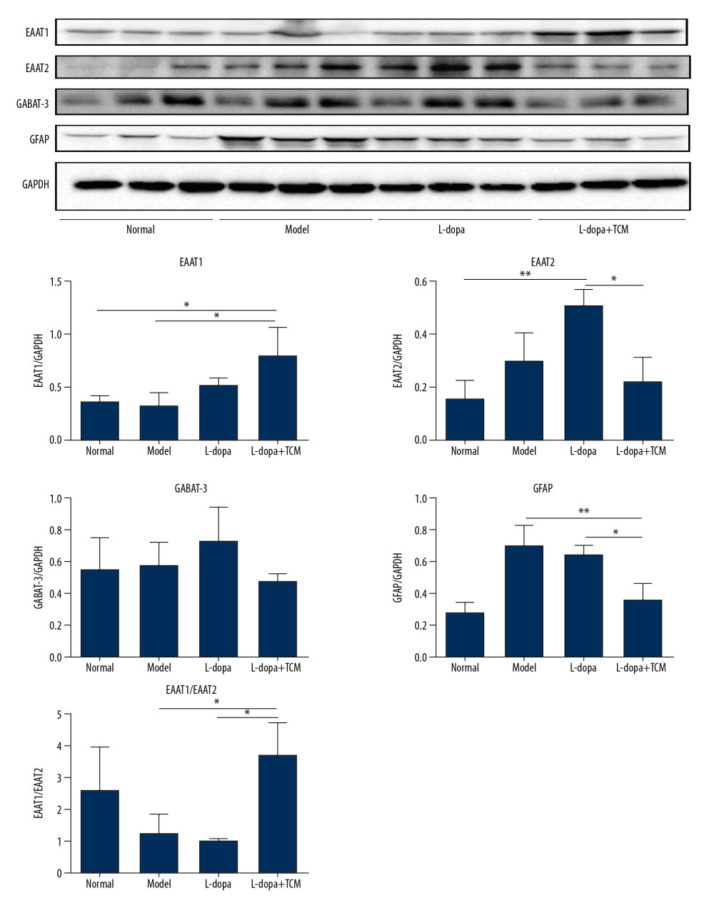 The striatal tissue detection of GFAP, GABAT-3, EAAT1, and EAAT2 by western blotting. The expression levels of EAAT1 in the levodopa combined with Bushen Zhichan recipe group (0.8069±0.2528) were significantly higher than that in the model group (0.3321±0.1064). Data are expressed as mean±standard deviation, * P<0.05; ** P<0.01; *** P<0.001.