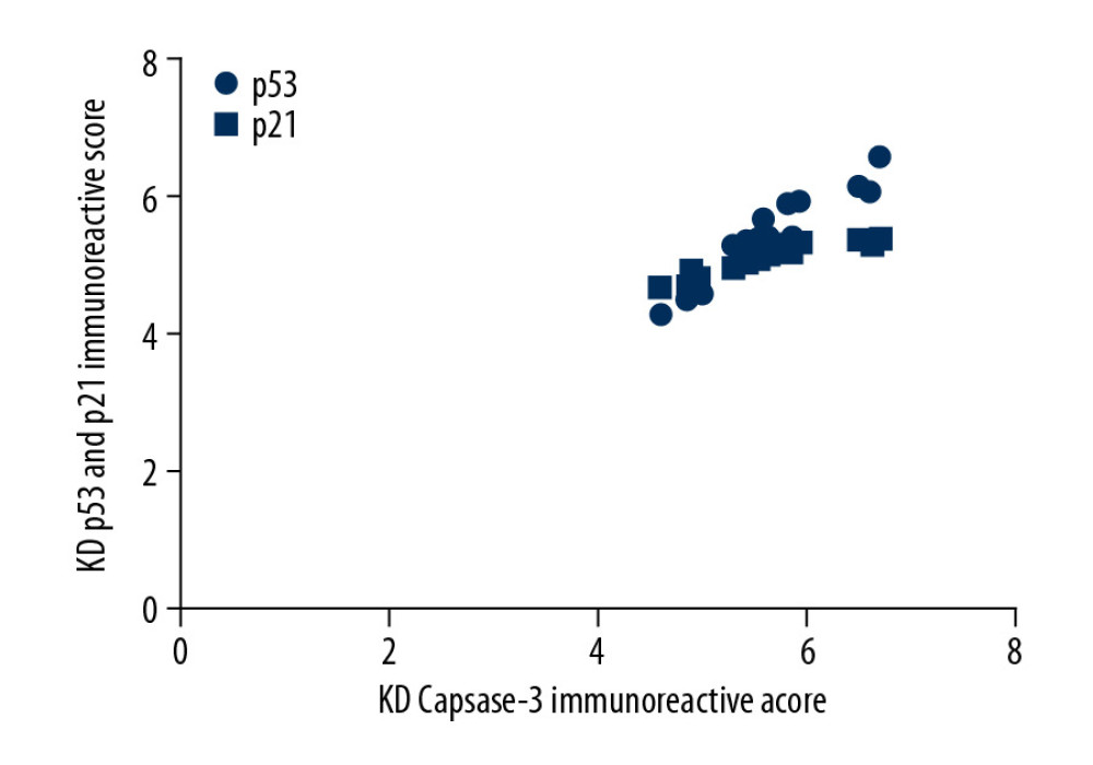 Correlation of p53 and p21 IRS values with the caspase-3 IRS in the KD group. Pearson correlation analysis revealed that the IRS for caspase-3 was positively correlated with the IRSs for p53 and p21 in the KD group (r=4.67 and 4.83; all P<0.001).