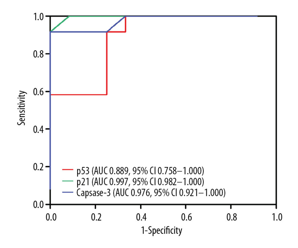 Comparison of ROC curves for p53, p21, and caspase-3 in all KD vasculitis mice with CALs. The AUC values and 95% CIs for p53, p21, and caspase-3 expression. The optimal cutoff values for p53, p21, and caspase-3 expression were 4.15, 4.18, and 4.22, respectively.