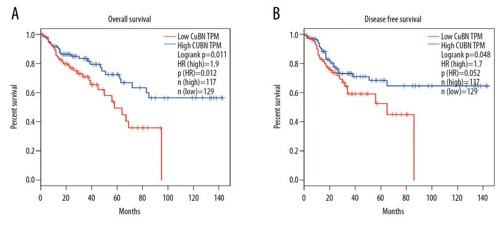 Prognostic value of CUBN mRNA expression in CRC patients. (A, B) Patients with higher CUBN expression tend to be have a poor prognosis in OS (p=0.011) and DFS (p=0.048) at 10-year follow-up visit.