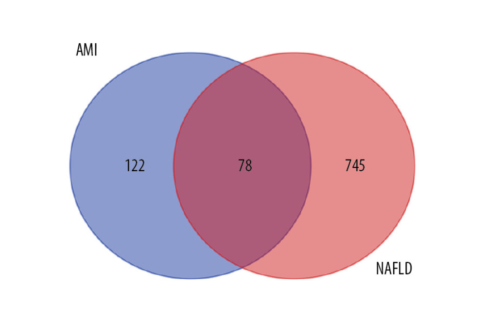 Venn diagram of intersecting common genes identified by differential genes (DEGs) from NAFLD and AMI.