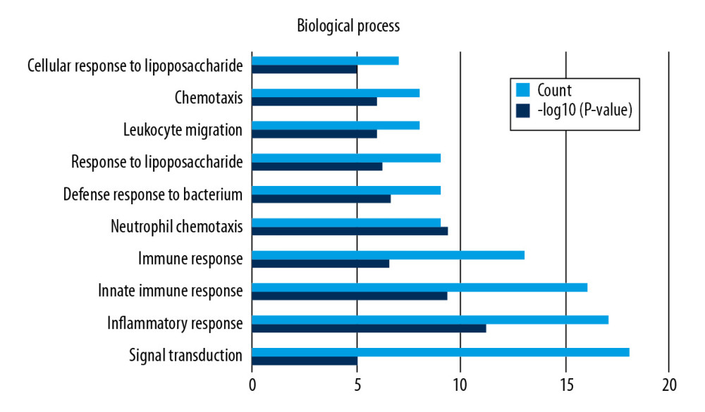 GO analysis of biological processes (BP).