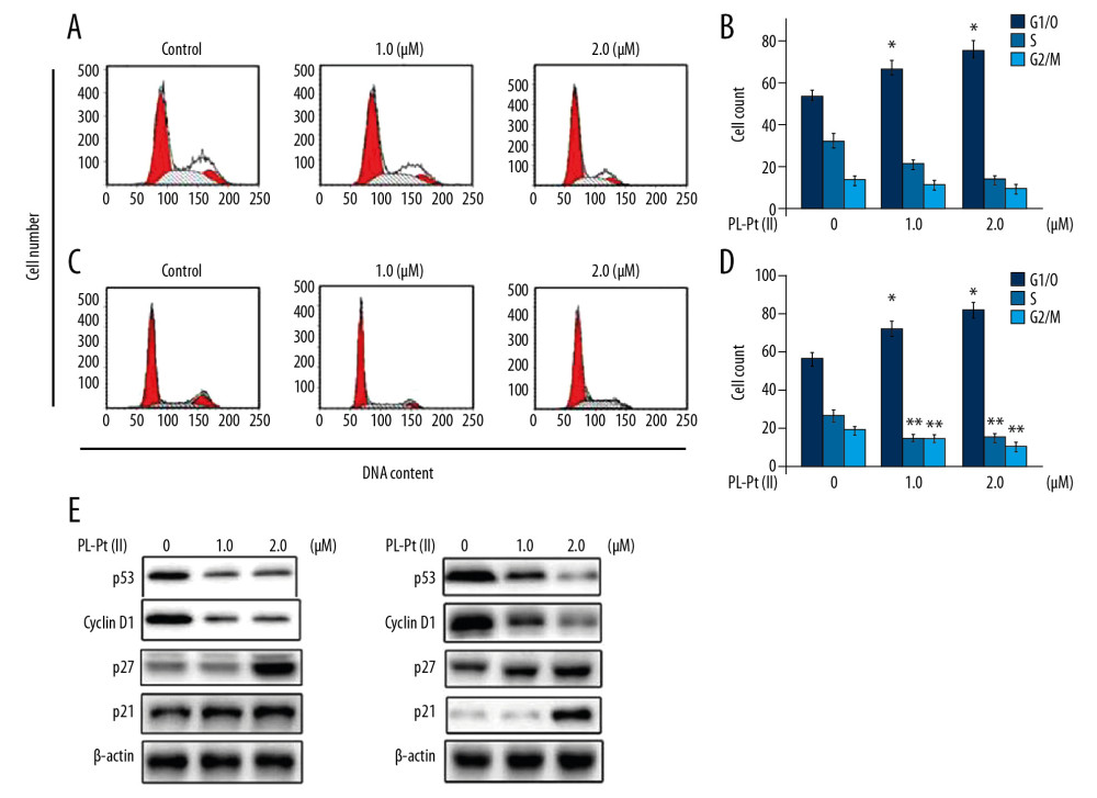 The inhibitory effect of the paeonol-platinum(II) (PL-Pt[II]) complex on the cell cycle in SW1736 human anaplastic thyroid carcinoma cells and BHP7-13 human thyroid papillary carcinoma cells. (A–D) The DNA content in PL-Pt(II)-treated SW1736 cells and BHP7-13 cells, detected by flow cytometry using propidium iodide (PI) staining. (E) The proteins regulating the cell cycle were assessed using Western blot in SW1736 and BHP7-13 cells treated with 1.0 and 2.0 μM of PL-Pt(II). * P<0.05 and ** P<0.01 vs. untreated cells.