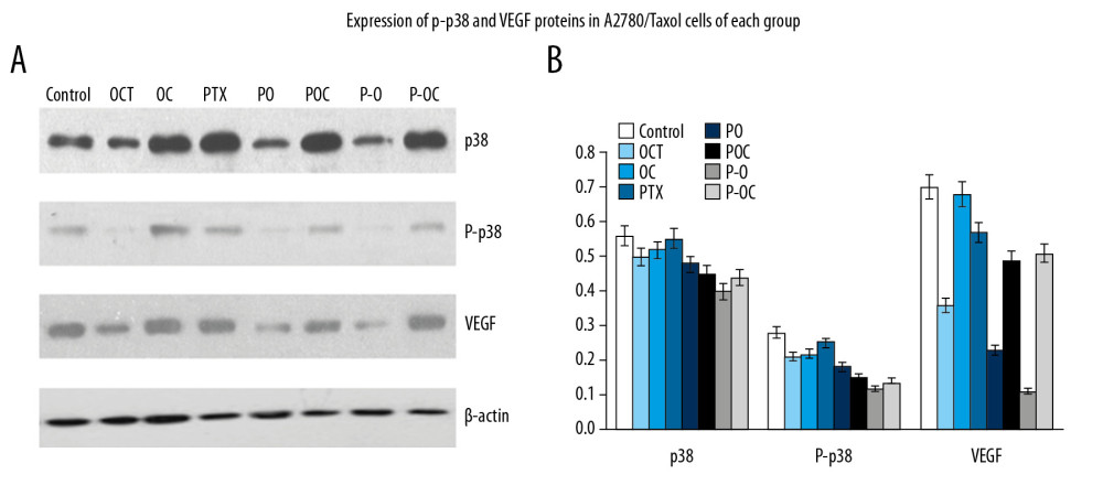 (A, B) Western blot analysis of p38, P-p38 MAPK, and VEGF in A2780/Taxol cells.