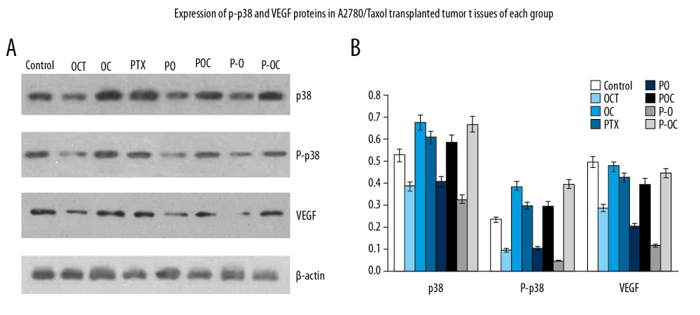 (A, B) Western blot analysis of p38, P-p38 MAPK and VEGF in tumor tissue of xenograft mice model.