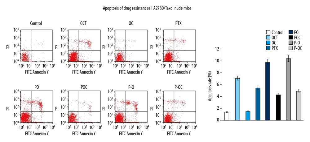 Apoptosis analysis in tumor tissue of xenograft mice model.
