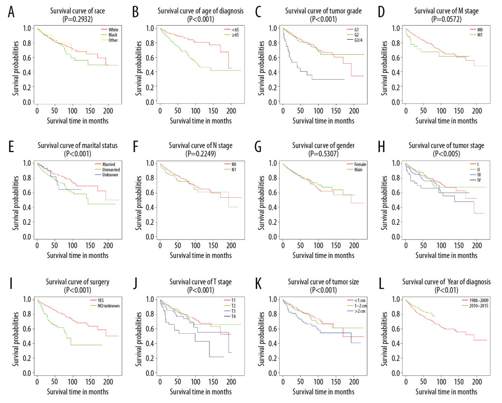 Kaplan-Meier analysis of overall survival in primary duodenal neuroendocrine neoplasm patients stratified by (A) race, (B) age of diagnosis, (C) tumor grade, (D) M stage, (E) marital status, (F) N stage, (G) sex, (H) tumor stage, (I) surgery, (J) T stage, (K) tumor size, and (L) year of diagnosis.