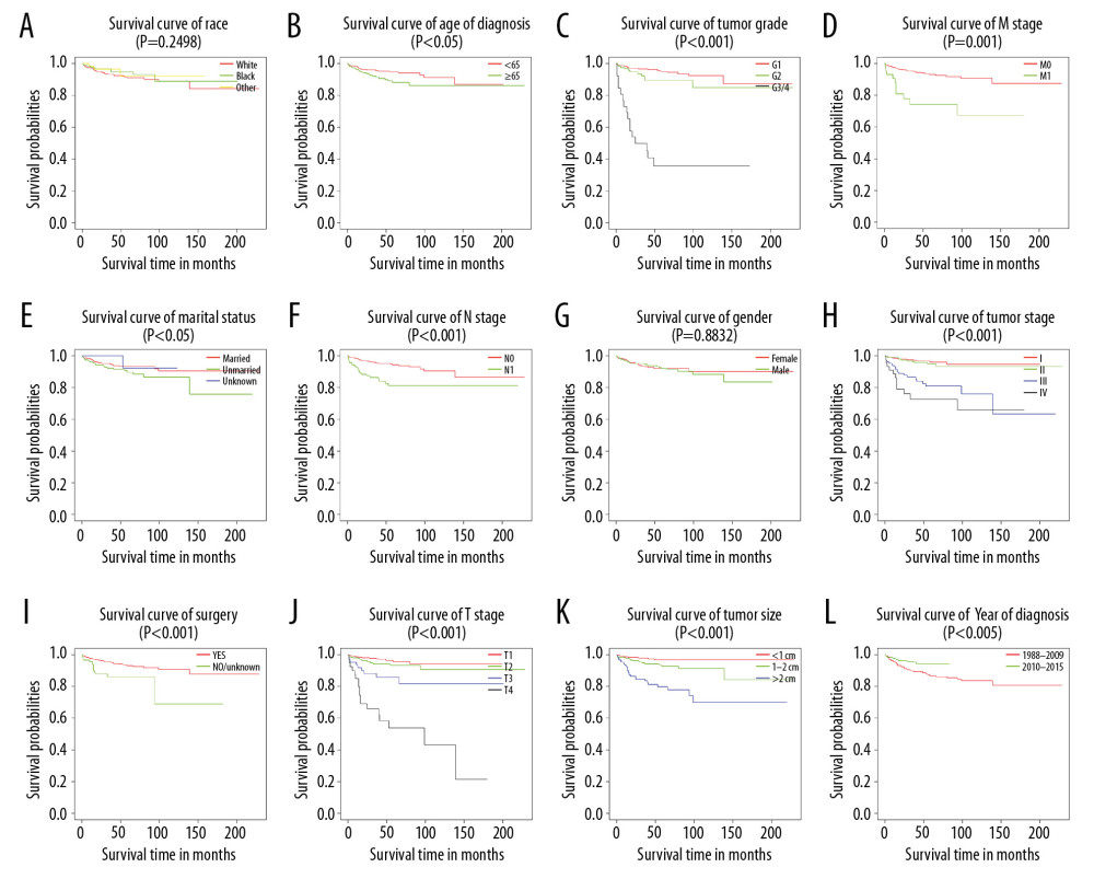 Kaplan-Meier analysis of cancer-specific survival in primary duodenal neuroendocrine neoplasms patients stratified by (A) race, (B) age of diagnosis, (C) tumor grade, (D) M stage, (E) marital status, (F) N stage, (G) sex, (H) tumor stage, (I) surgery, (J) T stage, (K) tumor size, and (L) year of diagnosis.
