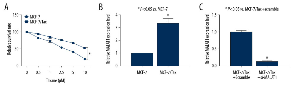 Tax-resistant MCF-7 cells express higher MALAT1 expression. (A) MCF-7 cells were exposed to gradient concentrations of Tax (Sigma-Aldrich, St Louis, MO, USA) to ensure the construction of Tax resistant breast cancer cells by CCK-8 assay. (B) The MALAT1 expression in MCF-7 cells and MCF-7/Tax cells measured by qRT-PCR. (C) The MALAT1 expression in MCF-7/Tax cells transfected with si-MALAT1 or scramble siRNA measured by qRT-PCR. Data are expressed as mean±SD. One-way ANOVA and Sidak’s multiple comparisons test. were used to determine statistical significance, otherwise unpaired t-test was used, * P<0.05. Three independent experiments were performed. MALAT1 – metastasis-associated lung adenocarcinoma transcript 1; Tax – taxanes; CCK-8 – Cell Counting Kit-8; qRT-PCR – quantitative real-time polymerase chain reaction; SD – standard deviation.