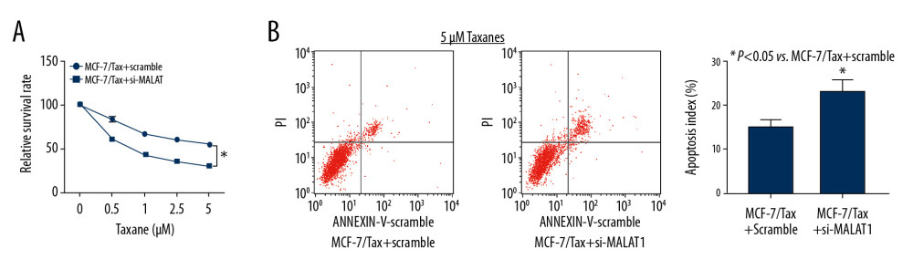 MALAT1 silencing promotes Tax sensitivity of breast cancer cells. (A) The cell viability of MCF-7/Tax cells when exposed to gradient concentrations of Tax determined by CCK-8 assays. (B) Apoptosis rate of the MCF-7/Tax cells examined by flow cytometry analysis. Data are expressed as mean±SD. One-way ANOVA and Sidak’s multiple comparisons test were used to determine statistical significance, otherwise unpaired t-test was used, * P<0.05. Three independent experiments were performed. MALAT1 – metastasis-associated lung adenocarcinoma transcript 1; Tax – taxanes; CCK-8 – Cell Counting Kit-8; SD – standard deviations.
