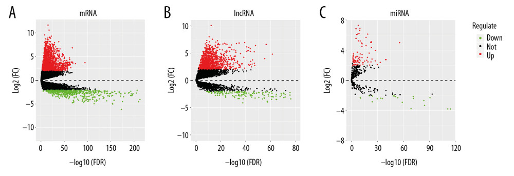 Volcano plots of differential genes in lung adenocarcinoma. (A–C) Shows volcano plots of mRNA, lncRNA, and miRNA, respectively. X-axis represents -log10(FDR), Y-axis represents log2(FC). Black dots represent genes that are not differentially expressed, red dots represent genes that are upregulated, and green dots represent genes that are downregulated. mRNA – messenger RNA; lncRNA – long noncoding RNA; miRNA – microRNA.
