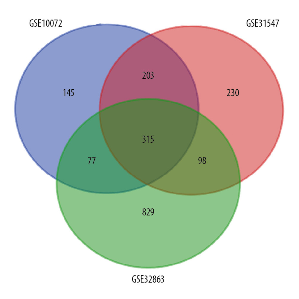 Venn diagram for overlapping DEGs in 3 microarray datasets. |log FC| >1 and P<0.01 was set as the cutoff criterion. There were 315 overlapped DEGs among 3 datasets (GSE10072, GSE31547, GSE32863) identified. DEGs – differentially expressed genes.