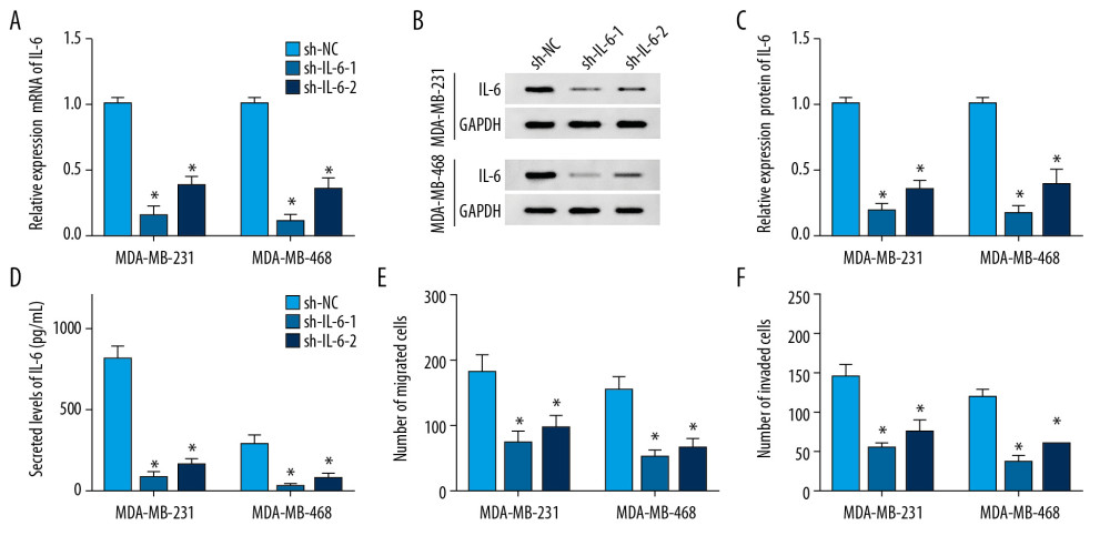 The influence of IL-6 inhibition on migration and invasion of TNBC cells. The levels of IL-6 mRNA (A), protein (B) in cells and in cell medium (C) were examined in MDA-MB-231 and MDA-MB-468 cells transfected with sh-IL-6-1, sh-IL-6-2, or sh-NC by qRT-PCR, Western blot, or ELISA, respectively. (D, E) Cell migration and invasion were detected in MDA-MB-231 and MDA-MB-468 cells with transfection of sh-IL-6-1, sh-IL-6-2, or sh-NC by transwell assay. * P<0.05 vs. the negative control transfection group (sh-NC).
