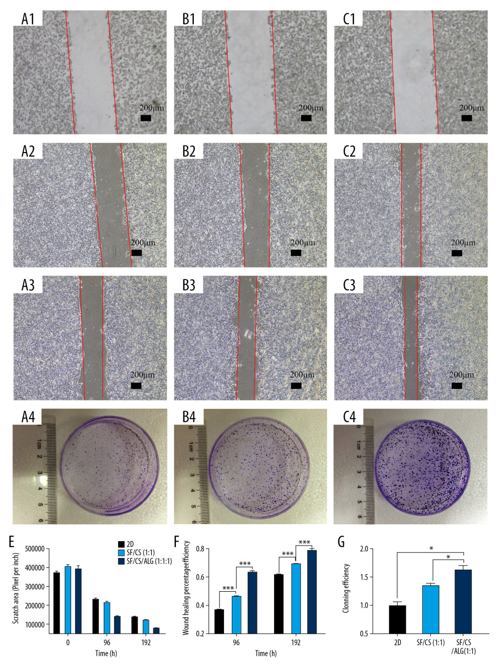 Results of wound-healing assays (A1–A3, B1–B3, C1–C3, E, F) and colony-forming assay (D1–D3, G) of cells in the extracting liquid of the scaffold are represented.